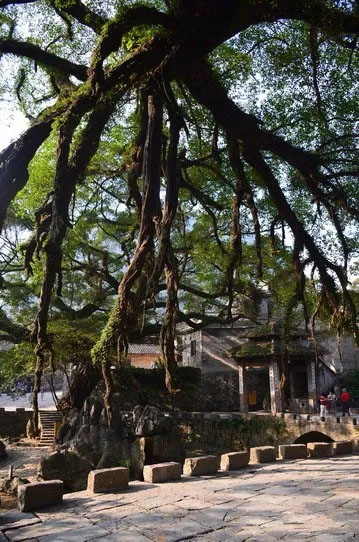 博皓游記 | 夏風(fēng)微醺的綺夢(mèng)，領(lǐng)略賀州黃姚古鎮(zhèn)、姑婆山閑憩之美-12