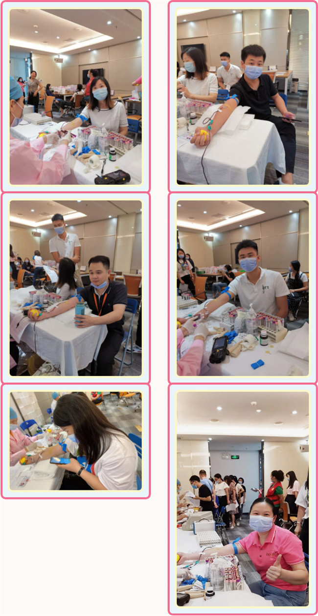 捐獻(xiàn)青春熱血，彩繪人生畫卷——廣東博皓總班委組織了一次“捐我熱血，呵護(hù)生命”的無償獻(xiàn)血公益活動(dòng)    -3