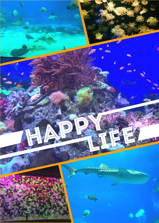 廣東博皓親子游：珠海長隆海洋王國，探索海洋生物的奧秘，奇妙的動(dòng)物世界