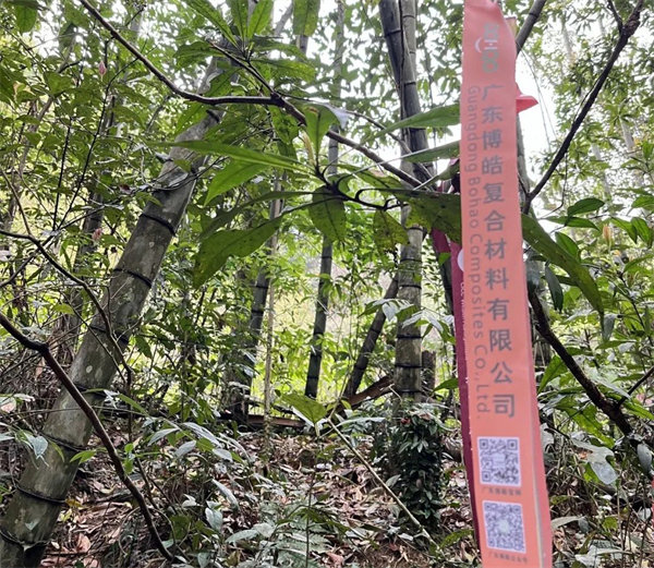 凝心聚力再出發(fā)，風(fēng)雨同舟赴星溪！--廣東博皓2024龍年首登星溪之旅     -2