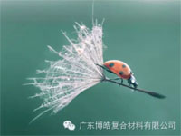 【博皓感悟】成功，要“借力”，不要“盡力”