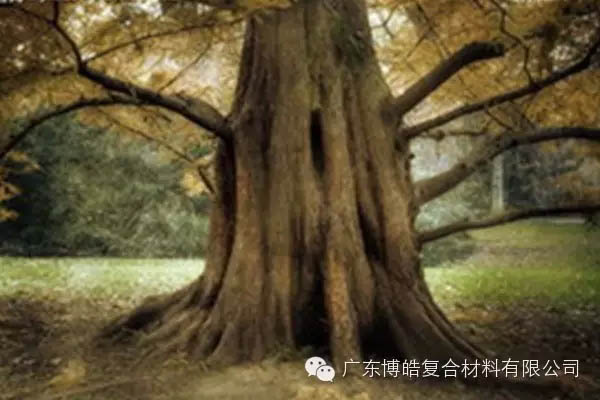 【博皓感悟】欲為大樹(shù)，莫與草爭(zhēng)-4
